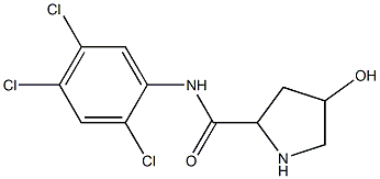 4-hydroxy-N-(2,4,5-trichlorophenyl)pyrrolidine-2-carboxamide Structure