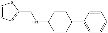 4-phenyl-N-(thiophen-2-ylmethyl)cyclohexan-1-amine Structure