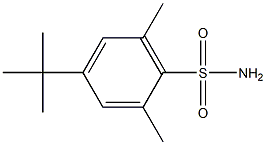 4-tert-butyl-2,6-dimethylbenzenesulfonamide 구조식 이미지