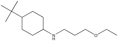 4-tert-butyl-N-(3-ethoxypropyl)cyclohexan-1-amine 구조식 이미지