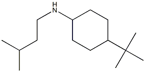 4-tert-butyl-N-(3-methylbutyl)cyclohexan-1-amine Structure