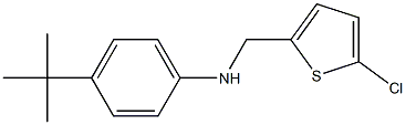 4-tert-butyl-N-[(5-chlorothiophen-2-yl)methyl]aniline 구조식 이미지
