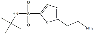 5-(2-aminoethyl)-N-(tert-butyl)thiophene-2-sulfonamide 구조식 이미지
