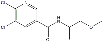 5,6-dichloro-N-(1-methoxypropan-2-yl)pyridine-3-carboxamide Structure