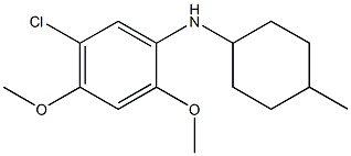 5-chloro-2,4-dimethoxy-N-(4-methylcyclohexyl)aniline 구조식 이미지