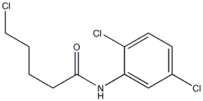 5-chloro-N-(2,5-dichlorophenyl)pentanamide Structure