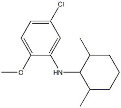 5-chloro-N-(2,6-dimethylcyclohexyl)-2-methoxyaniline 구조식 이미지