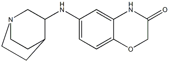 6-{1-azabicyclo[2.2.2]octan-3-ylamino}-3,4-dihydro-2H-1,4-benzoxazin-3-one Structure