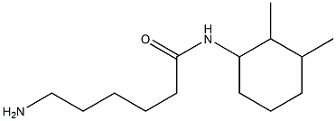 6-amino-N-(2,3-dimethylcyclohexyl)hexanamide Structure