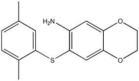 7-[(2,5-dimethylphenyl)sulfanyl]-2,3-dihydro-1,4-benzodioxin-6-amine Structure