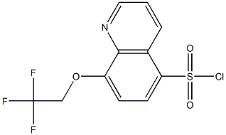 8-(2,2,2-trifluoroethoxy)quinoline-5-sulfonyl chloride 구조식 이미지