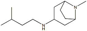 8-methyl-N-(3-methylbutyl)-8-azabicyclo[3.2.1]octan-3-amine Structure