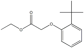 ethyl 2-(2-tert-butylphenoxy)acetate 구조식 이미지