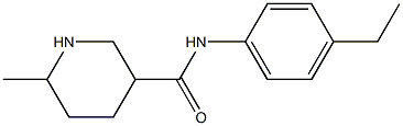 N-(4-ethylphenyl)-6-methylpiperidine-3-carboxamide 구조식 이미지