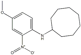 N-(4-methoxy-2-nitrophenyl)cyclooctanamine Structure