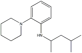 N-(4-methylpentan-2-yl)-2-(piperidin-1-yl)aniline 구조식 이미지