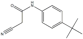 N-(4-tert-butylphenyl)-2-cyanoacetamide Structure