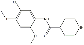 N-(5-chloro-2,4-dimethoxyphenyl)piperidine-4-carboxamide Structure