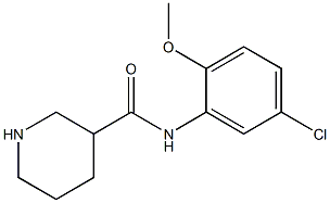 N-(5-chloro-2-methoxyphenyl)piperidine-3-carboxamide Structure