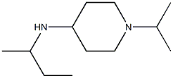 N-(butan-2-yl)-1-(propan-2-yl)piperidin-4-amine Structure