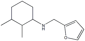 N-(furan-2-ylmethyl)-2,3-dimethylcyclohexan-1-amine 구조식 이미지