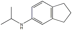 N-(propan-2-yl)-2,3-dihydro-1H-inden-5-amine Structure