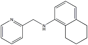 N-(pyridin-2-ylmethyl)-5,6,7,8-tetrahydronaphthalen-1-amine 구조식 이미지