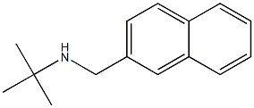 N-(tert-butyl)-N-(2-naphthylmethyl)amine Structure