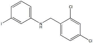 N-[(2,4-dichlorophenyl)methyl]-3-iodoaniline 구조식 이미지