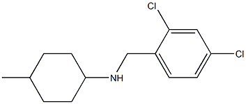 N-[(2,4-dichlorophenyl)methyl]-4-methylcyclohexan-1-amine 구조식 이미지