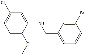 N-[(3-bromophenyl)methyl]-5-chloro-2-methoxyaniline Structure