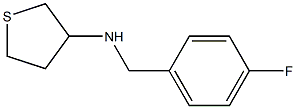N-[(4-fluorophenyl)methyl]thiolan-3-amine 구조식 이미지