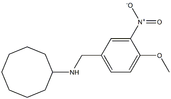 N-[(4-methoxy-3-nitrophenyl)methyl]cyclooctanamine Structure