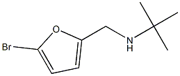 N-[(5-bromo-2-furyl)methyl]-N-(tert-butyl)amine 구조식 이미지