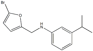 N-[(5-bromofuran-2-yl)methyl]-3-(propan-2-yl)aniline 구조식 이미지