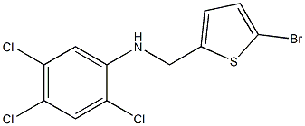 N-[(5-bromothiophen-2-yl)methyl]-2,4,5-trichloroaniline 구조식 이미지