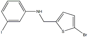 N-[(5-bromothiophen-2-yl)methyl]-3-iodoaniline Structure