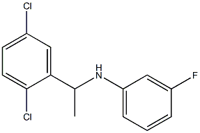 N-[1-(2,5-dichlorophenyl)ethyl]-3-fluoroaniline 구조식 이미지