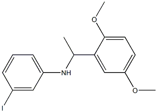 N-[1-(2,5-dimethoxyphenyl)ethyl]-3-iodoaniline 구조식 이미지