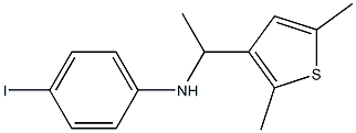 N-[1-(2,5-dimethylthiophen-3-yl)ethyl]-4-iodoaniline 구조식 이미지