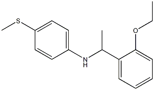 N-[1-(2-ethoxyphenyl)ethyl]-4-(methylsulfanyl)aniline Structure