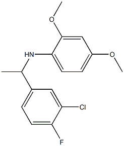 N-[1-(3-chloro-4-fluorophenyl)ethyl]-2,4-dimethoxyaniline Structure