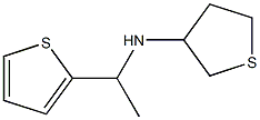 N-[1-(thiophen-2-yl)ethyl]thiolan-3-amine Structure