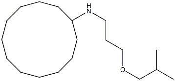 N-[3-(2-methylpropoxy)propyl]cyclododecanamine Structure