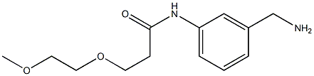 N-[3-(aminomethyl)phenyl]-3-(2-methoxyethoxy)propanamide 구조식 이미지