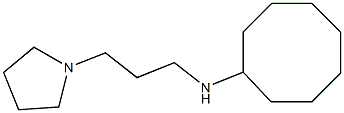 N-[3-(pyrrolidin-1-yl)propyl]cyclooctanamine 구조식 이미지