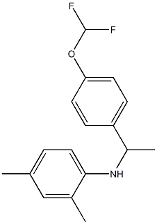 N-{1-[4-(difluoromethoxy)phenyl]ethyl}-2,4-dimethylaniline Structure