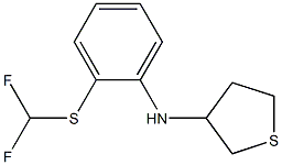 N-{2-[(difluoromethyl)sulfanyl]phenyl}thiolan-3-amine 구조식 이미지