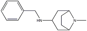 N-benzyl-8-methyl-8-azabicyclo[3.2.1]octan-3-amine Structure