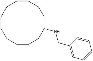 N-benzylcyclododecanamine 구조식 이미지